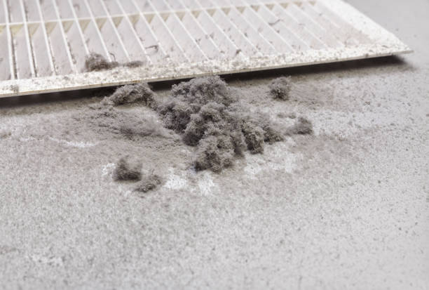 Best Affordable Duct Cleaning Services  in Walce, LA