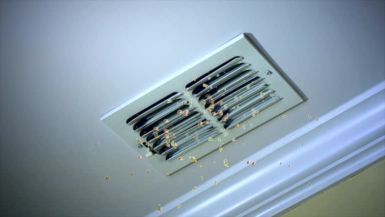 Best Air Duct Cleaning Near Me  in Walce, LA