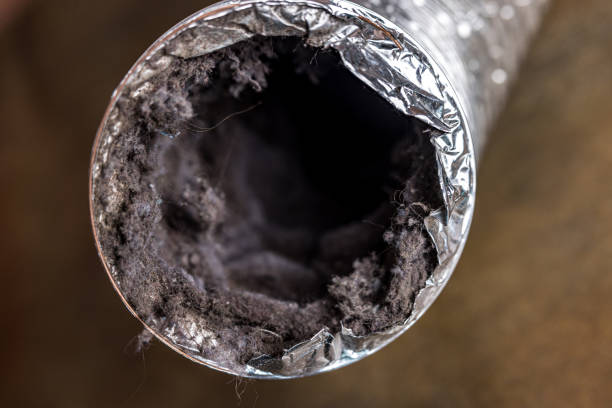 Best Residential Air Duct Cleaning  in Walce, LA