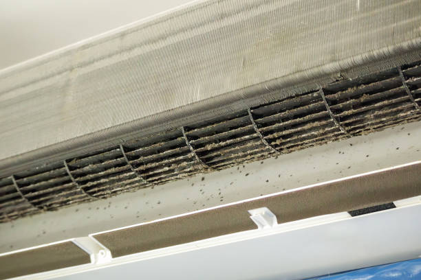 Best Ventilation Cleaning Services  in Walce, LA